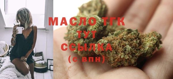 молекула духа Няндома