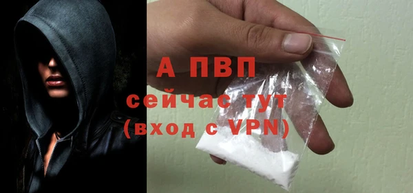 молекула духа Няндома