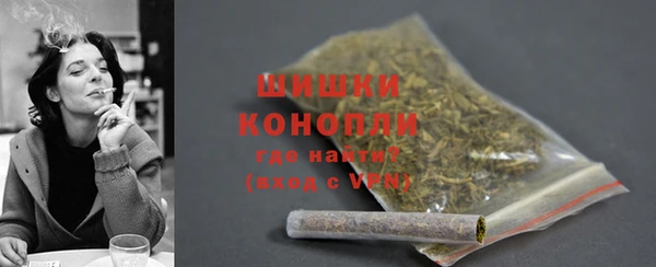 молекула духа Няндома