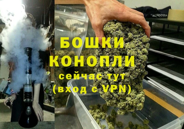 молекула духа Няндома