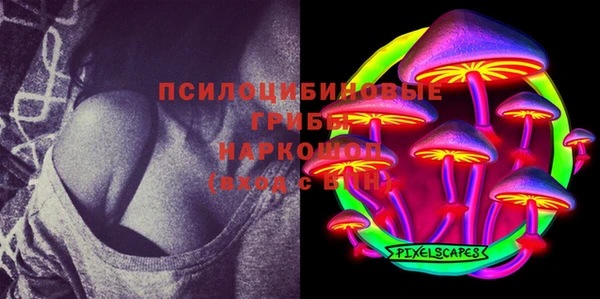 PSILOCYBIN Нязепетровск
