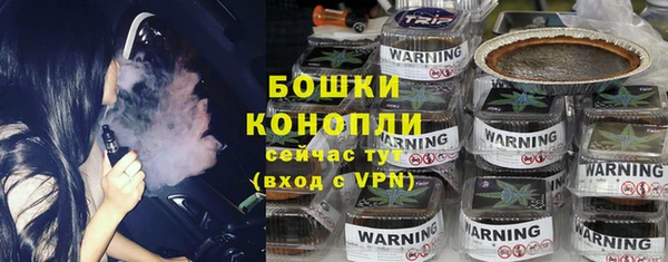 молекула духа Няндома