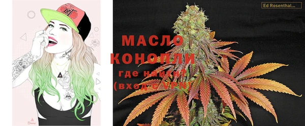 молекула духа Няндома