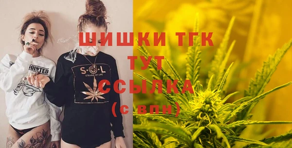 молекула духа Няндома