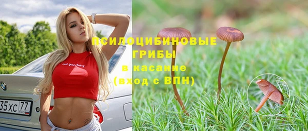 прущая мука Остров