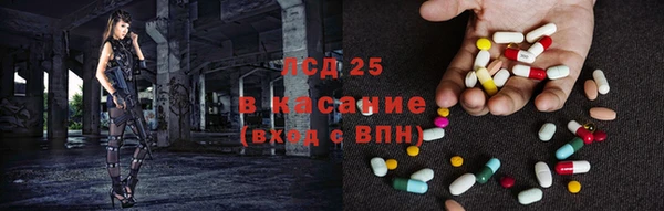 PSILOCYBIN Нязепетровск