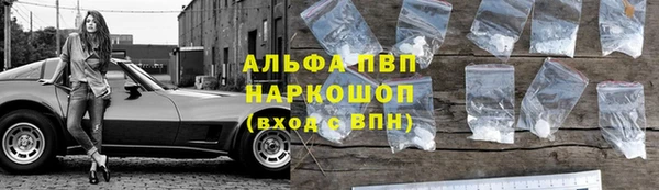 молекула духа Няндома
