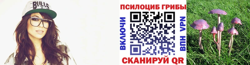 Псилоцибиновые грибы прущие грибы  Ливны 
