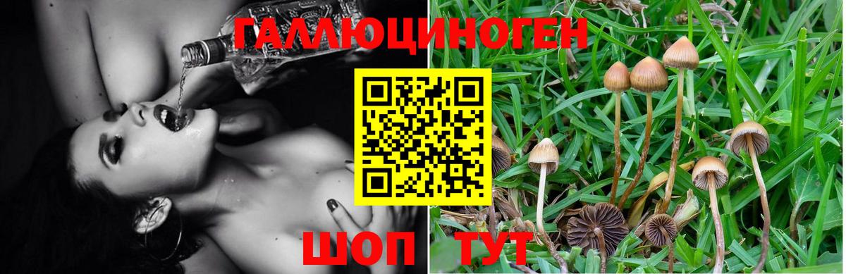 Ливны  что такое   Вход с VPN  Галлюциногенные грибы Psilocybine cubensis  Псилоцибиновые грибы MAGIC MUSHROOMS 