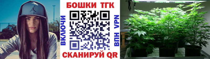 Бошки Шишки ГИДРОПОН  Ливны 